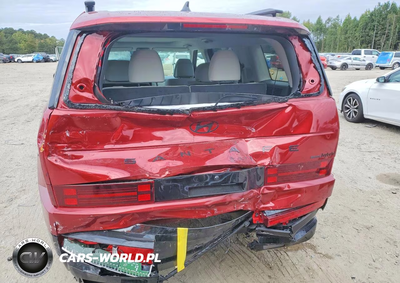 2024 Hyundai Santa Fe Calligraphy VIN:5NMP5DG16RH011149 - 6