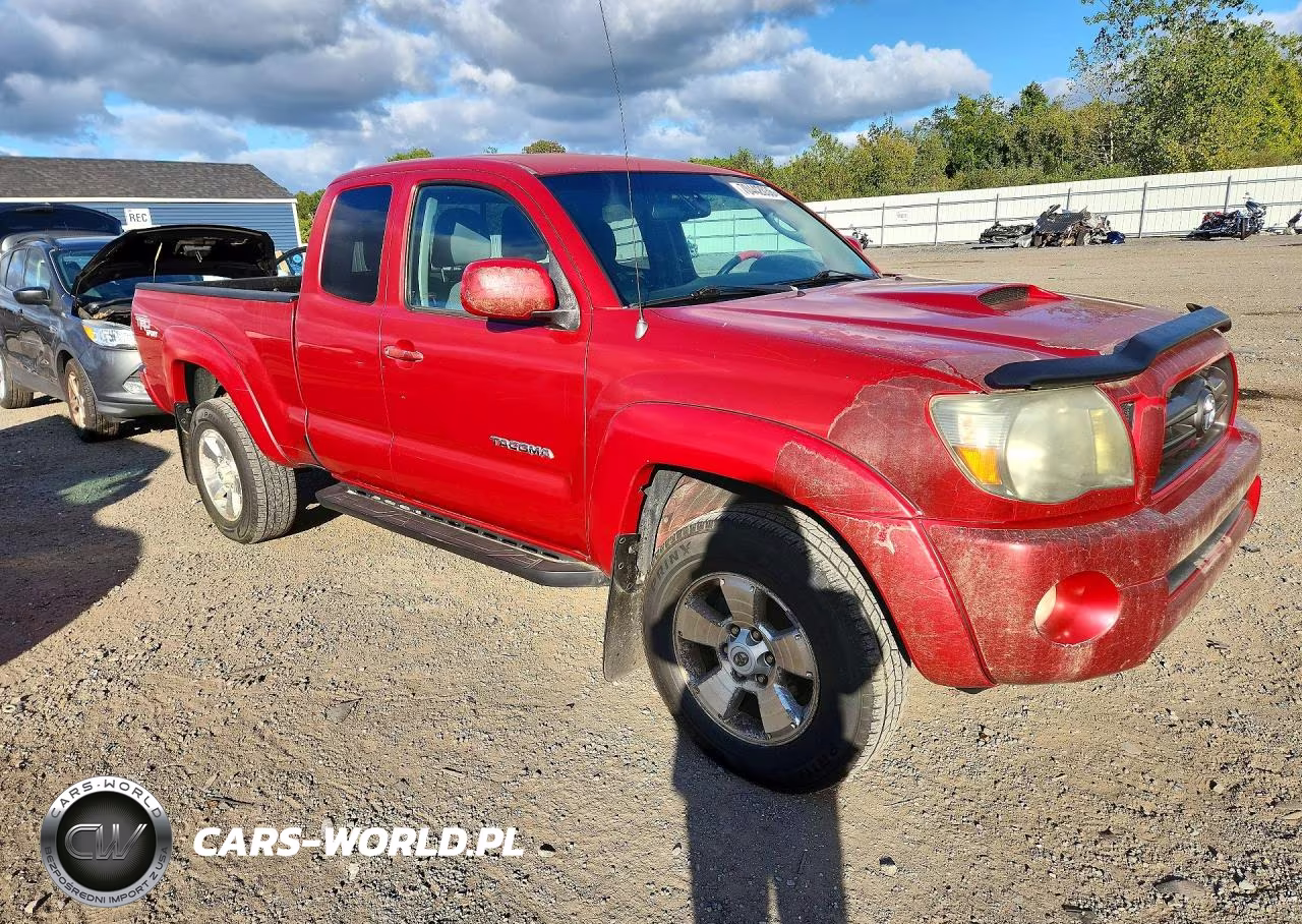 2009 Toyota Tacoma V6 VIN:5TEUU42N69Z604171 - 4