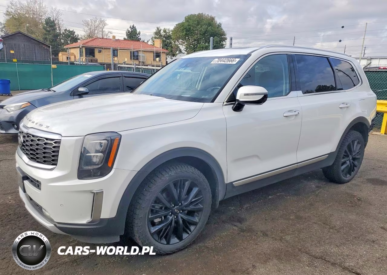 2021 Kia Telluride Sx VIN:5XYP5DHC2MG111686 - 1