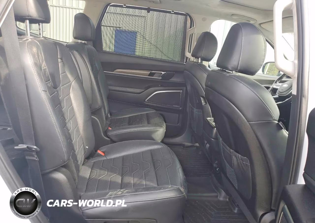 2021 Kia Telluride Sx VIN:5XYP5DHC2MG111686 - 11