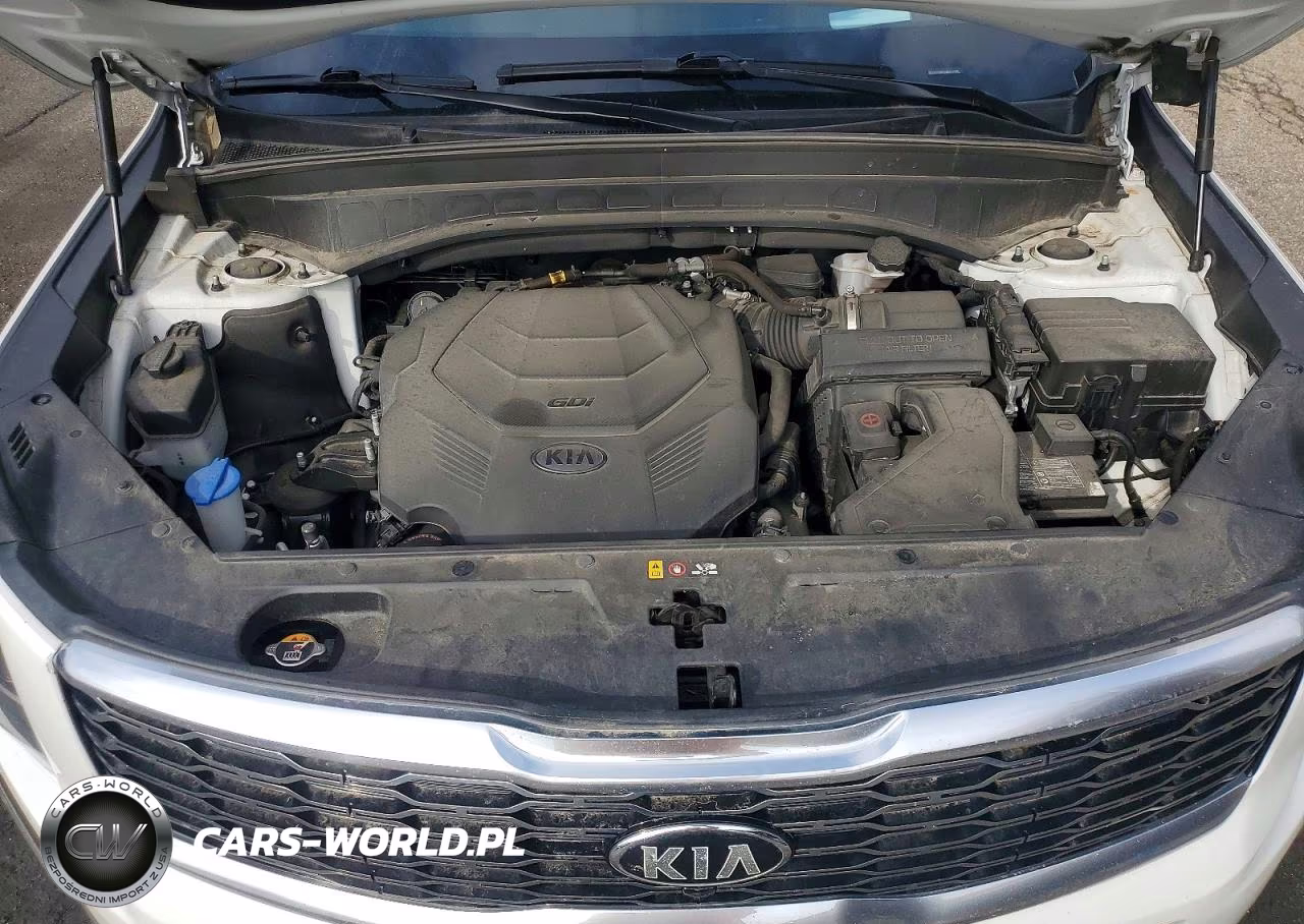 2021 Kia Telluride Sx VIN:5XYP5DHC2MG111686 - 12