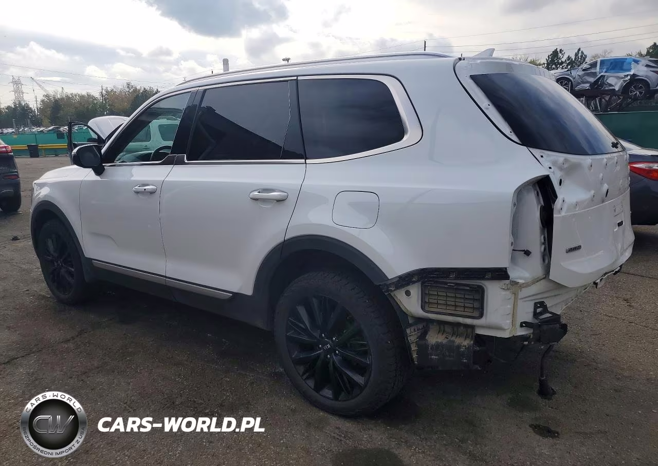 2021 Kia Telluride Sx VIN:5XYP5DHC2MG111686 - 2