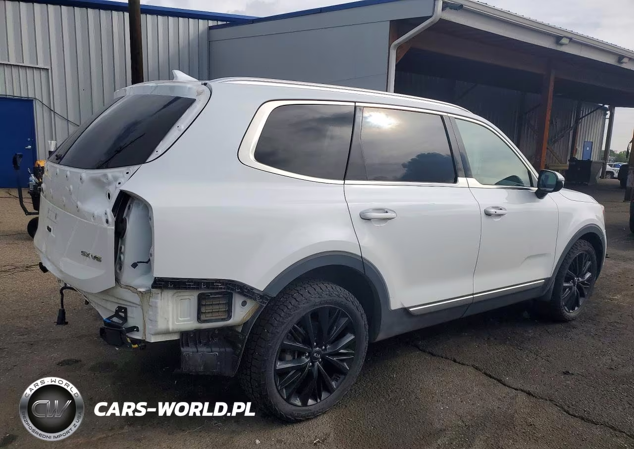 2021 Kia Telluride Sx VIN:5XYP5DHC2MG111686 - 3