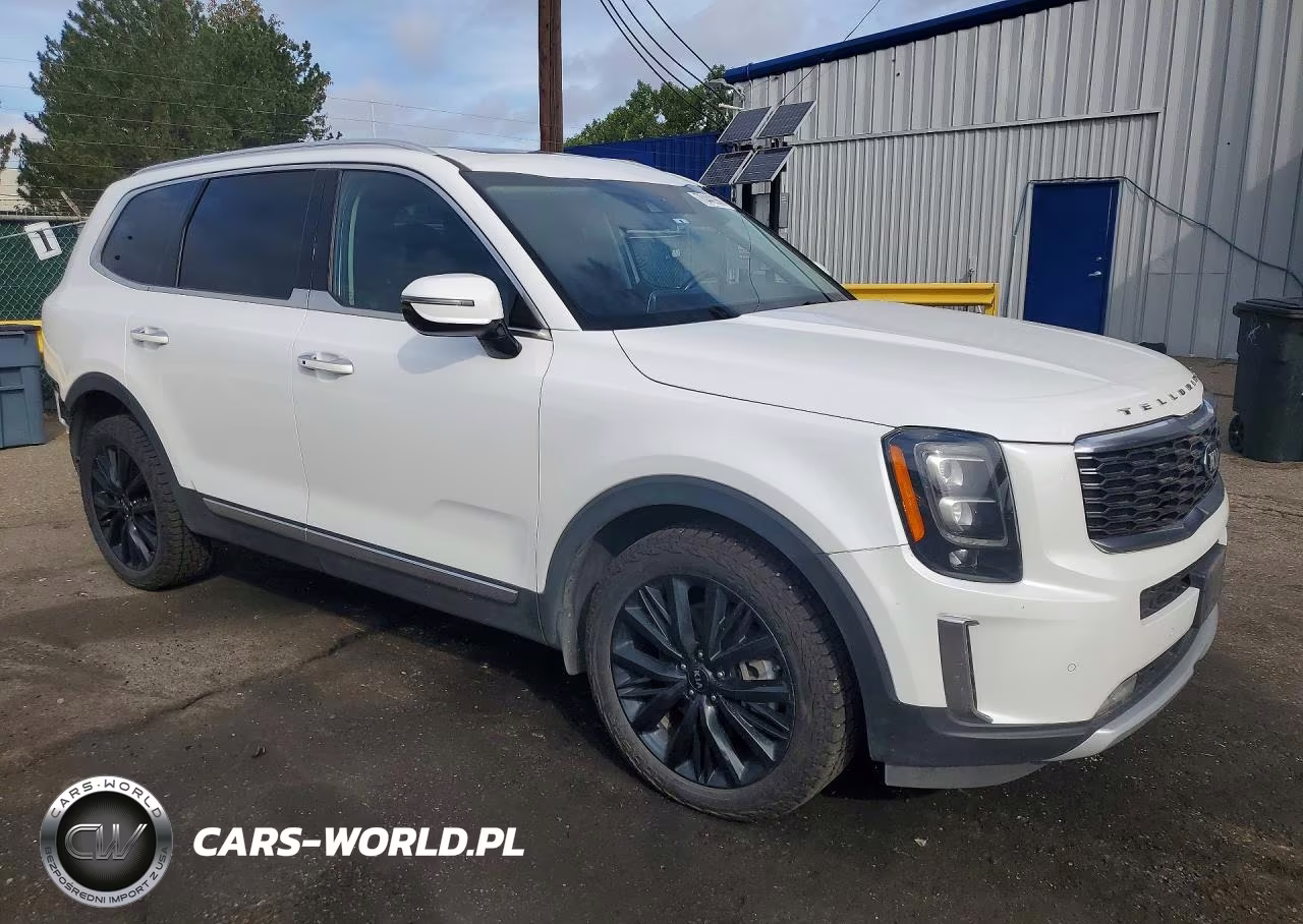 2021 Kia Telluride Sx VIN:5XYP5DHC2MG111686 - 4