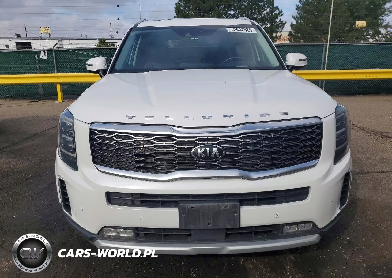 2021 Kia Telluride Sx VIN:5XYP5DHC2MG111686 - 5