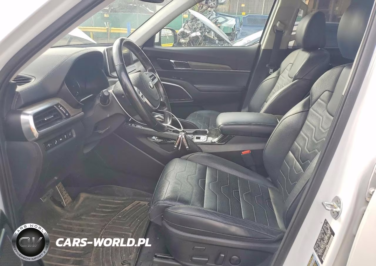2021 Kia Telluride Sx VIN:5XYP5DHC2MG111686 - 7