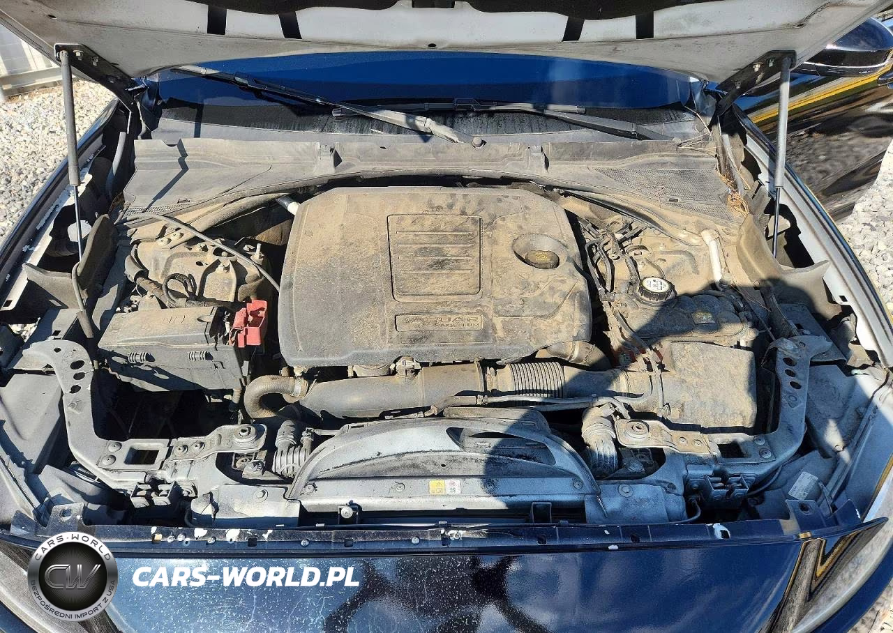 JAGUAR F-PACE PRE VIN:SADCK2GX6KA395177 - 12