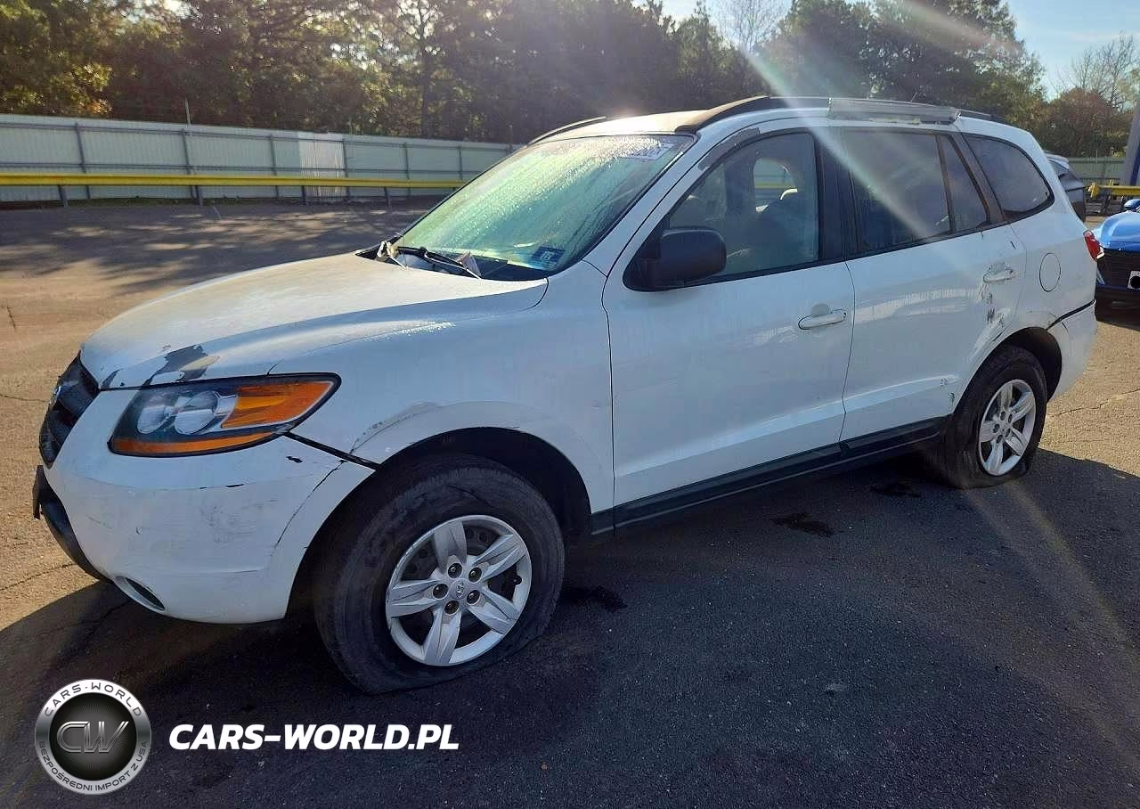2009 Hyundai Santa Fe Gls VIN:5NMSG13D59H319514 - 1