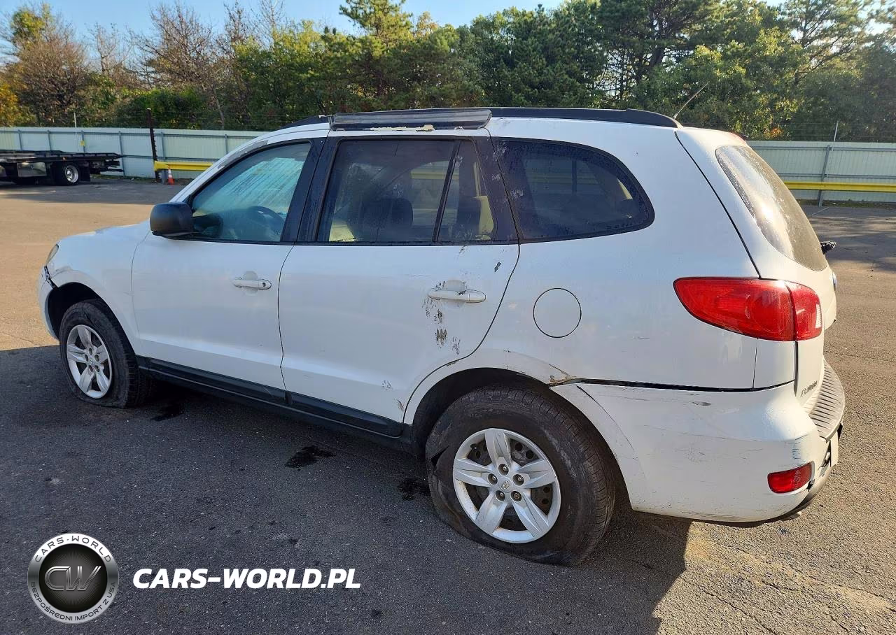 2009 Hyundai Santa Fe Gls VIN:5NMSG13D59H319514 - 2