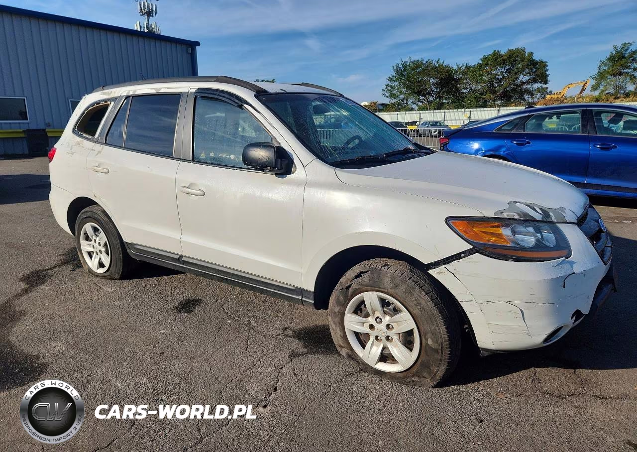 2009 Hyundai Santa Fe Gls VIN:5NMSG13D59H319514 - 4