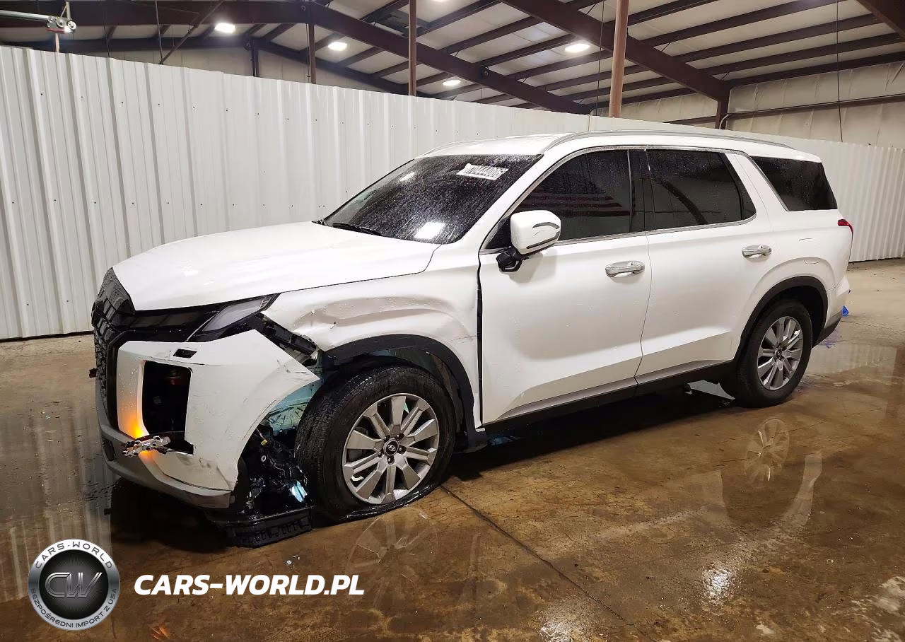 2025 Hyundai Palisade Sel VIN:KM8R24GE1SU861723 - 1