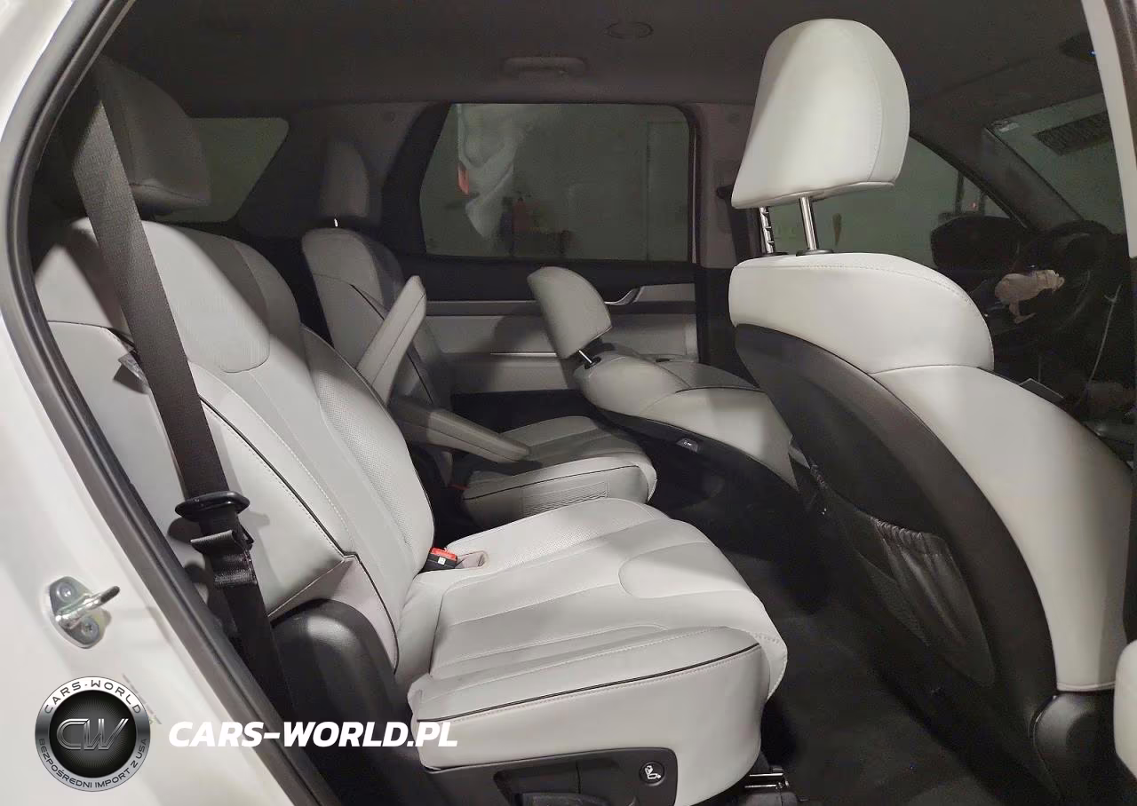 2025 Hyundai Palisade Sel VIN:KM8R24GE1SU861723 - 11