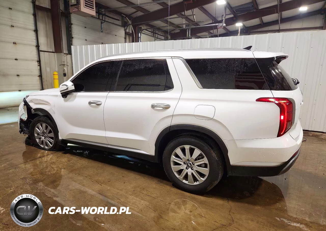 2025 Hyundai Palisade Sel VIN:KM8R24GE1SU861723 - 2