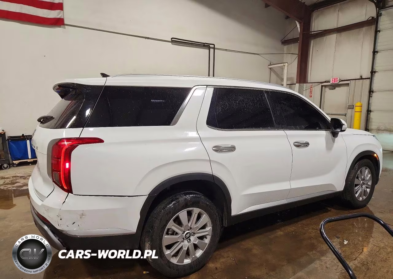 2025 Hyundai Palisade Sel VIN:KM8R24GE1SU861723 - 3