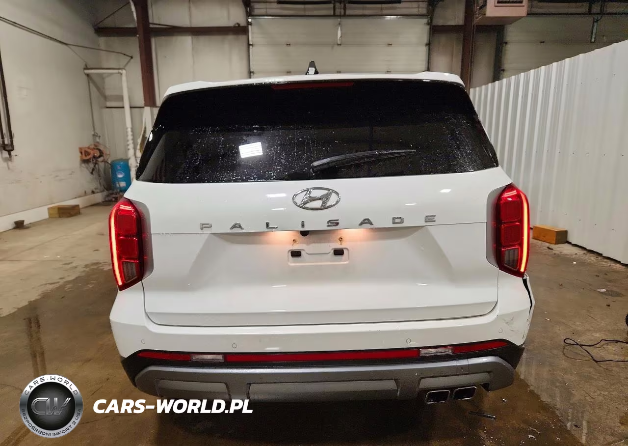 2025 Hyundai Palisade Sel VIN:KM8R24GE1SU861723 - 6