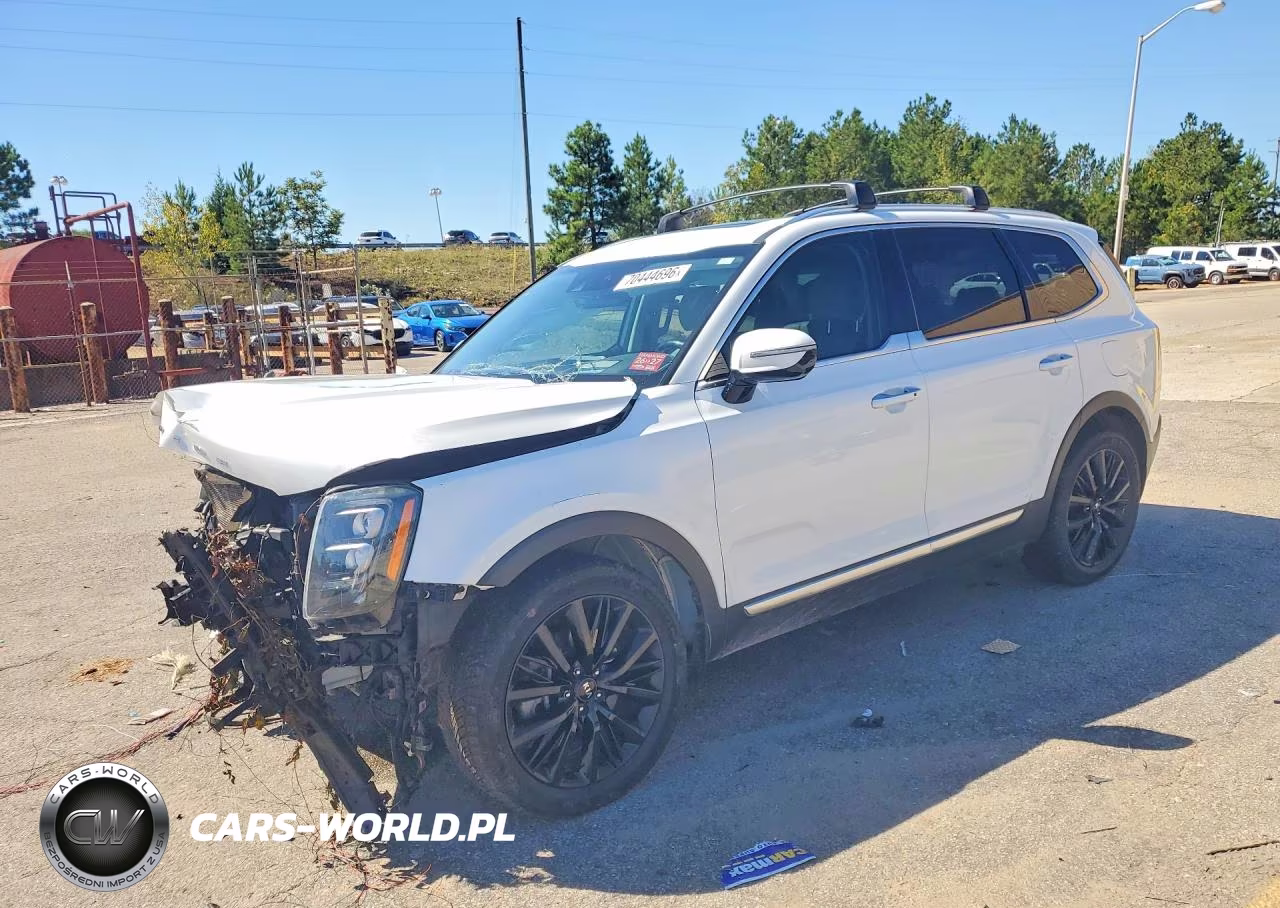 2021 Kia Telluride Sx VIN:5XYP5DHC9MG110146 - 1