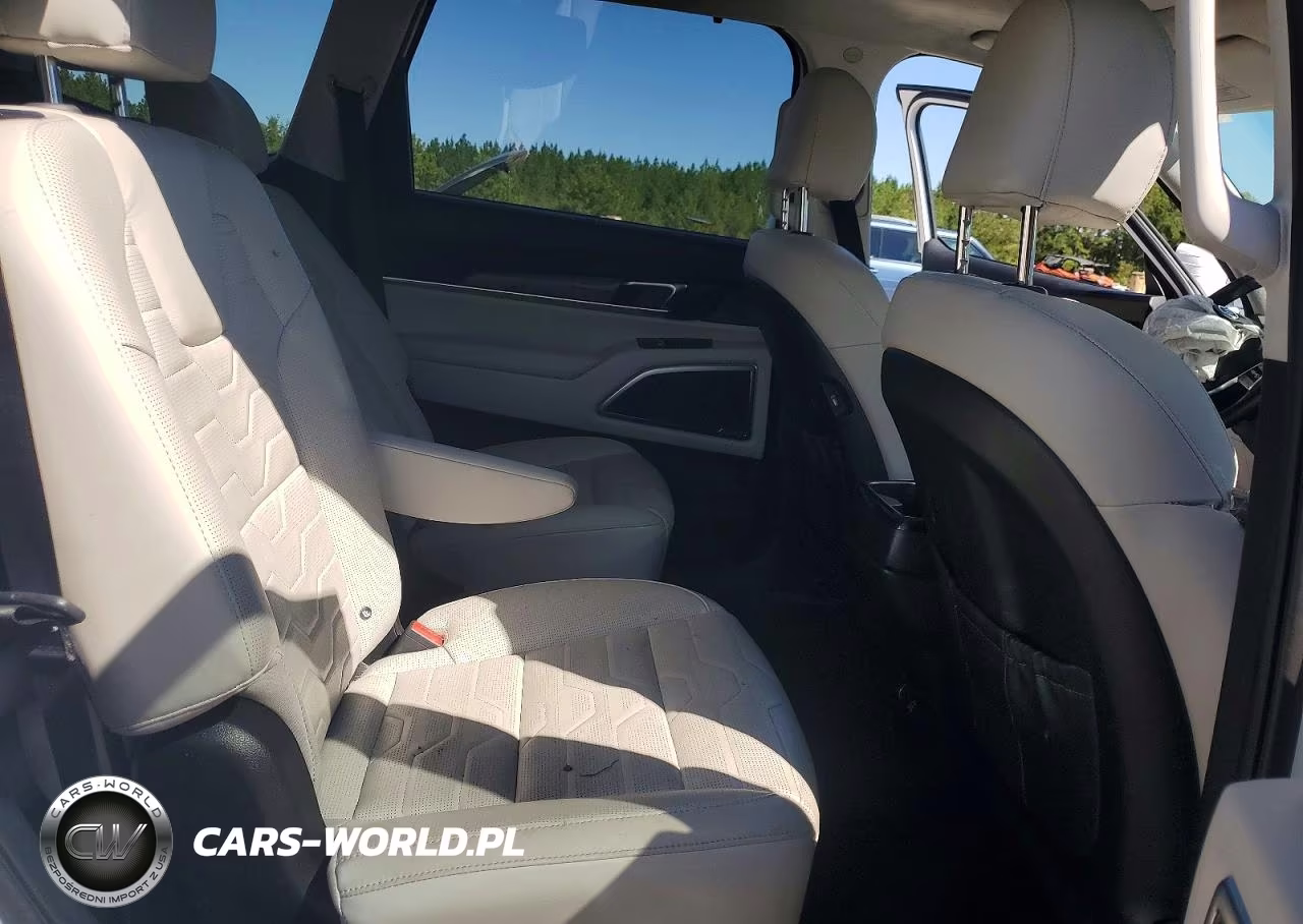 2021 Kia Telluride Sx VIN:5XYP5DHC9MG110146 - 10
