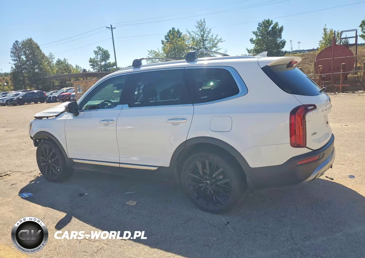 2021 Kia Telluride Sx VIN:5XYP5DHC9MG110146 - 2