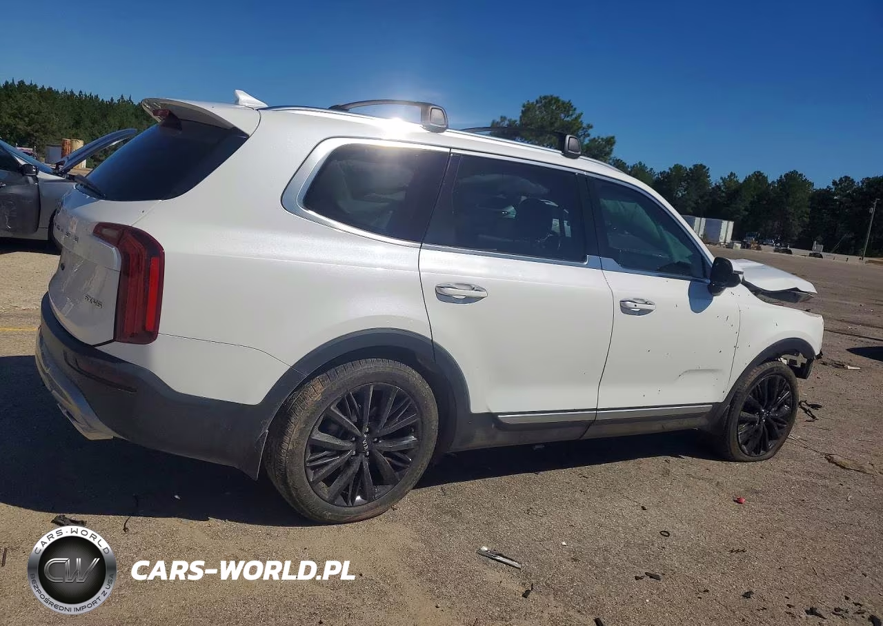 2021 Kia Telluride Sx VIN:5XYP5DHC9MG110146 - 3