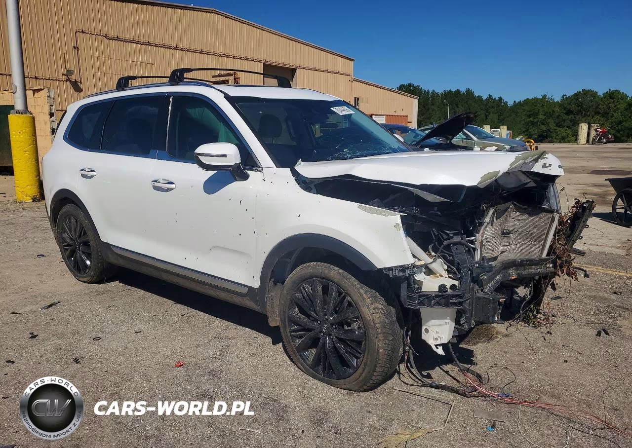 2021 Kia Telluride Sx VIN:5XYP5DHC9MG110146 - 4