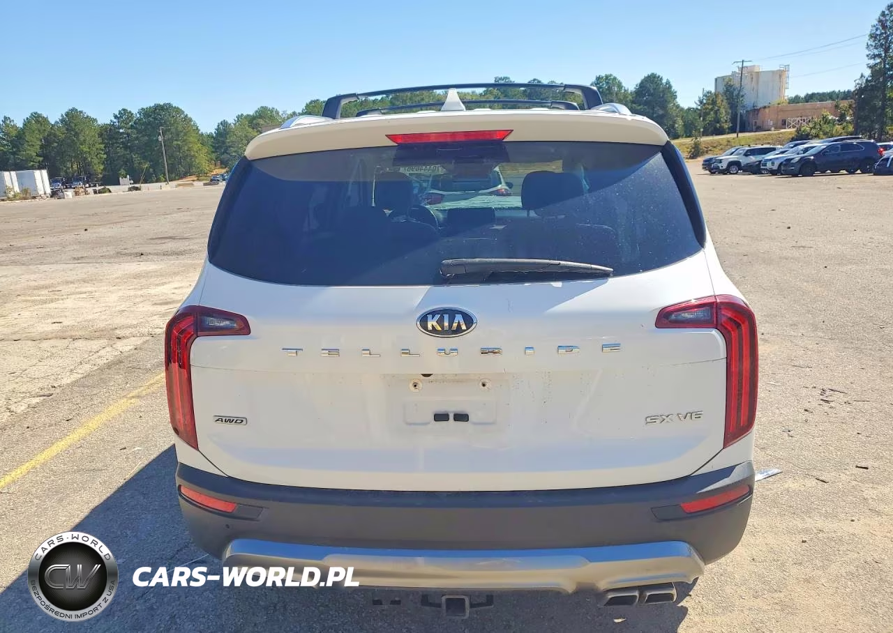 2021 Kia Telluride Sx VIN:5XYP5DHC9MG110146 - 6
