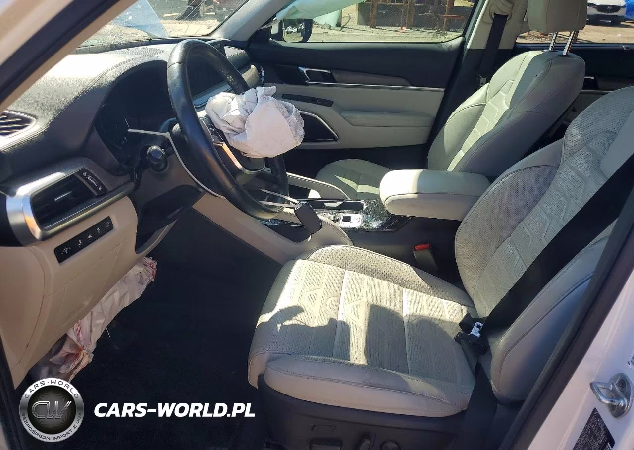 2021 Kia Telluride Sx VIN:5XYP5DHC9MG110146 - 7