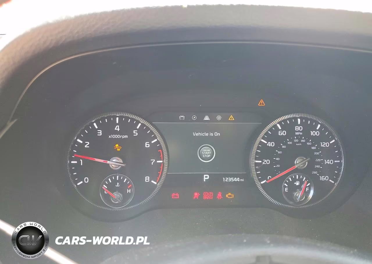 2021 Kia Telluride Sx VIN:5XYP5DHC9MG110146 - 9
