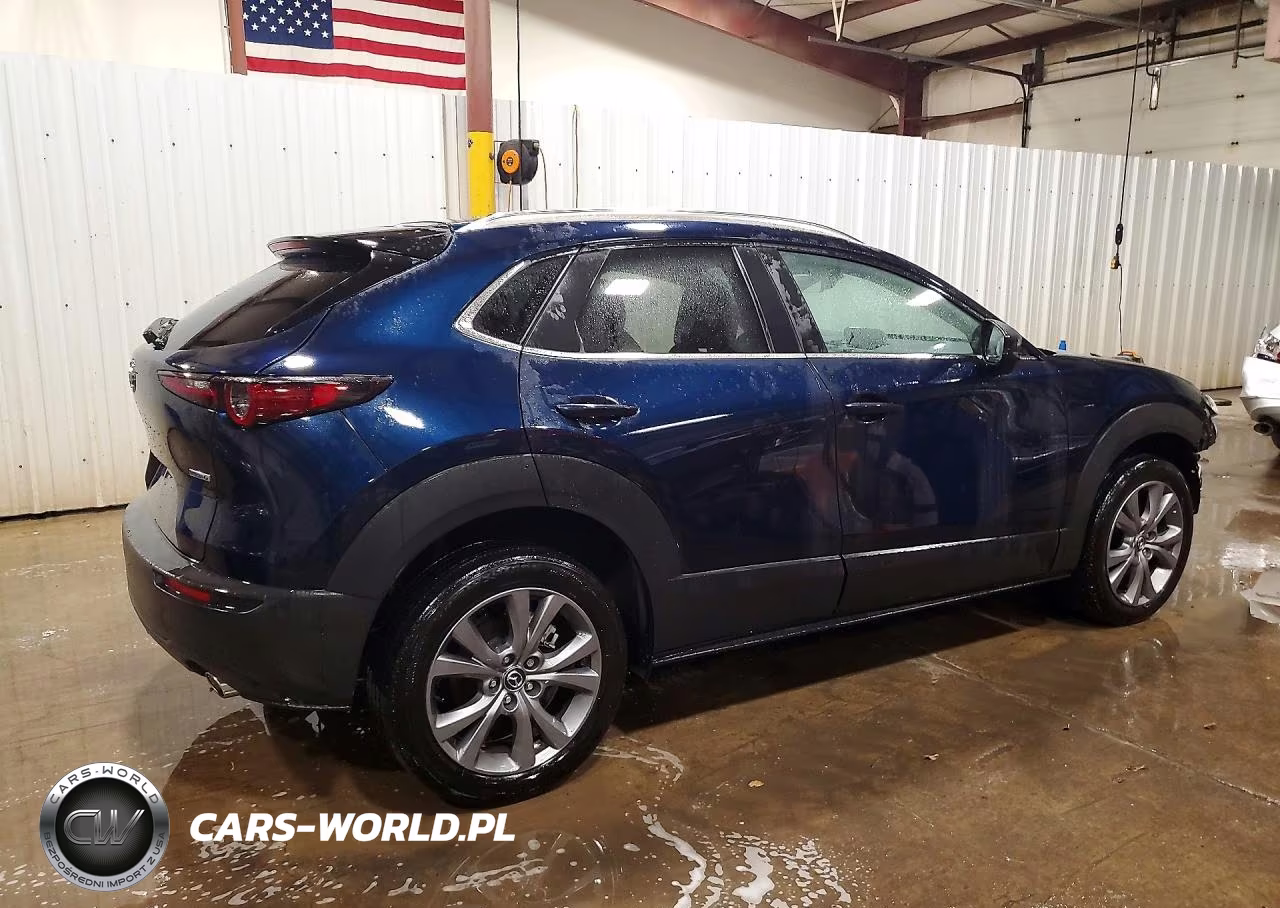 2025 Mazda Cx-30 Preferred VIN:3MVDMBCMXSM781222 - 3