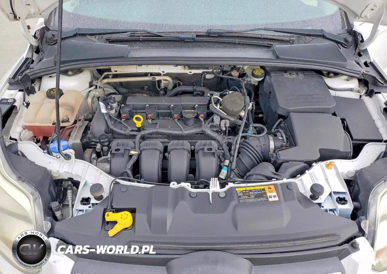 2014 Ford Focus Se VIN:1FADP3F25EL249493 - 11