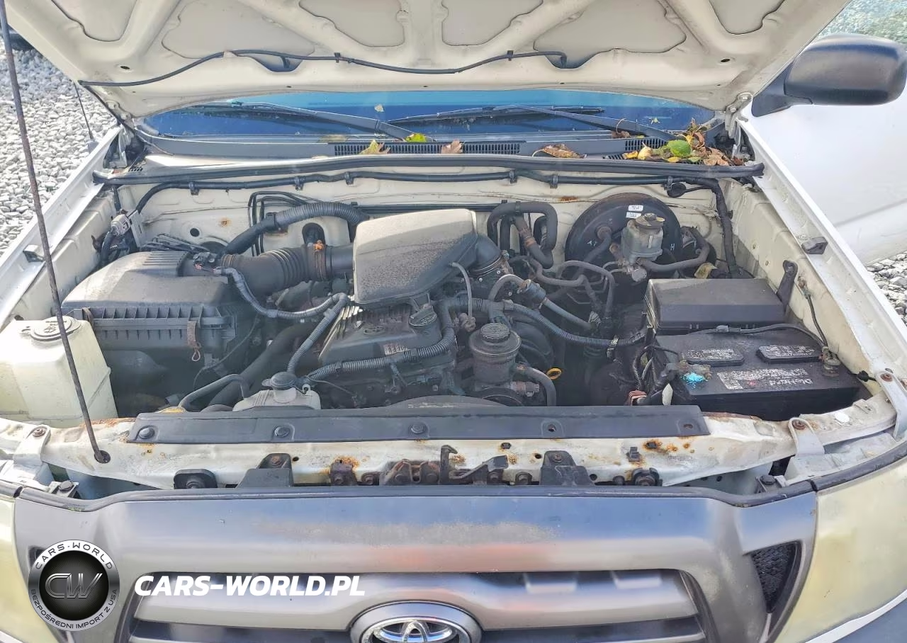 2010 Toyota Tacoma Base VIN:5TENX4CN3AZ715596 - 11