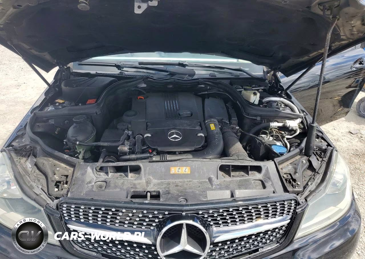 2013 Mercedes-Benz C 250 VIN:WDDGJ4HB3DF988408 - 11