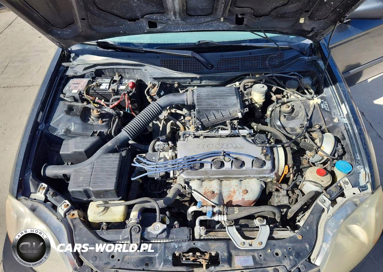 1998 Honda Civic Lx VIN:2HGEJ6577WH547283 - 11