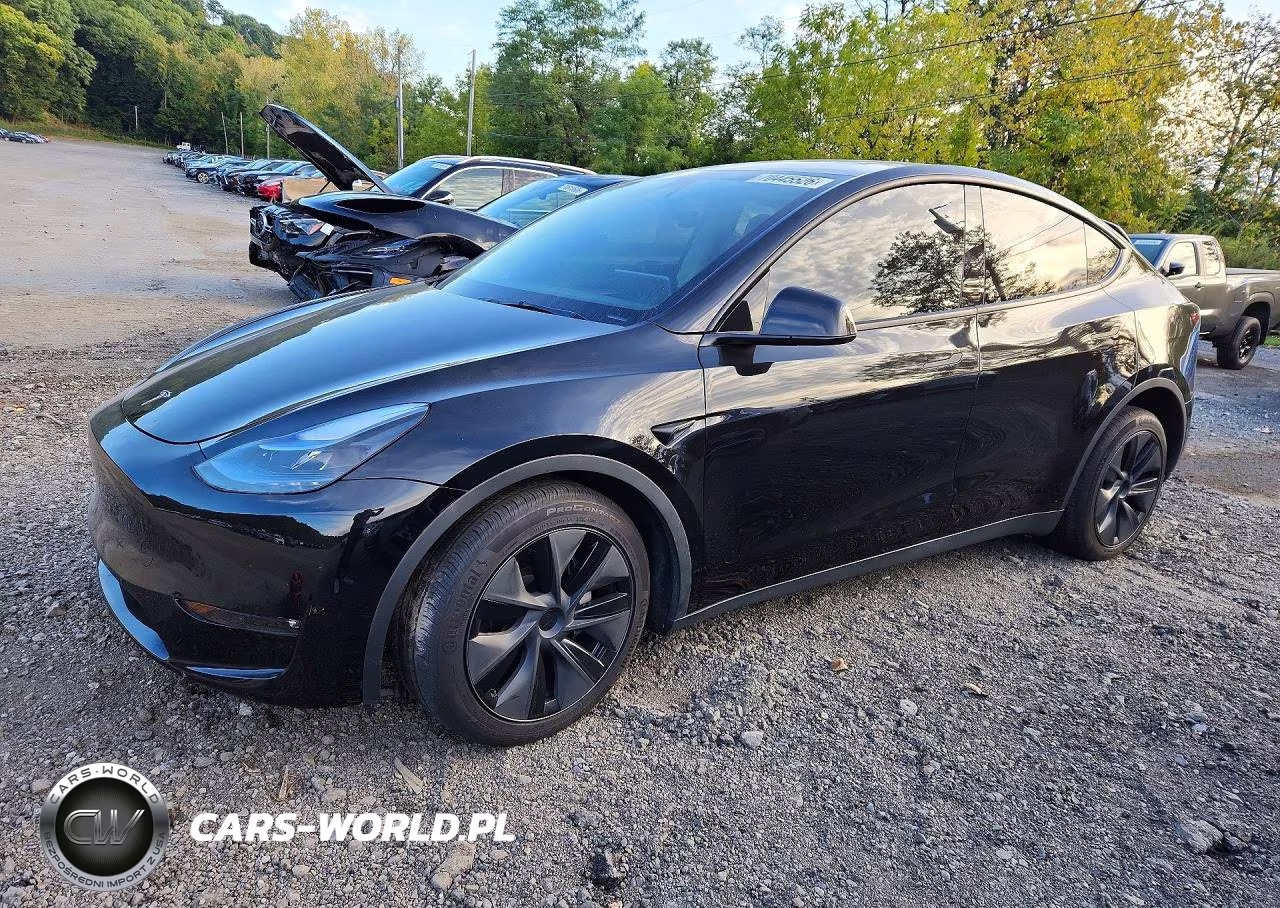 2025 Tesla Model Y VIN:7SAYGDEE2SF291800 - 1
