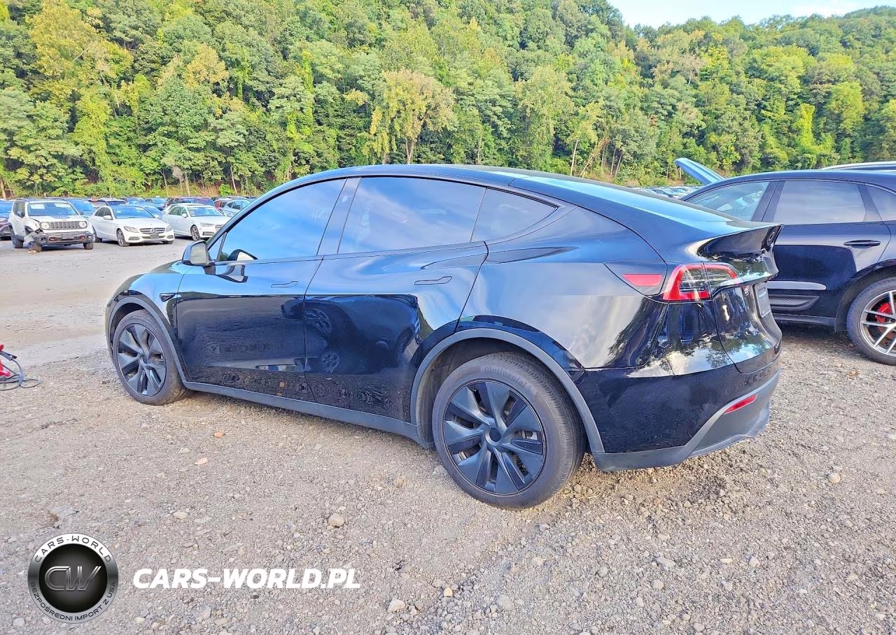 2025 Tesla Model Y VIN:7SAYGDEE2SF291800 - 2