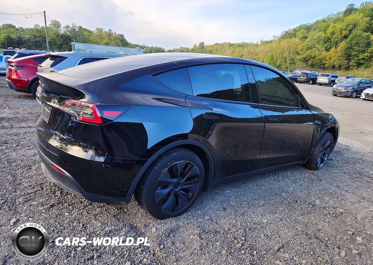2025 Tesla Model Y VIN:7SAYGDEE2SF291800 - 3