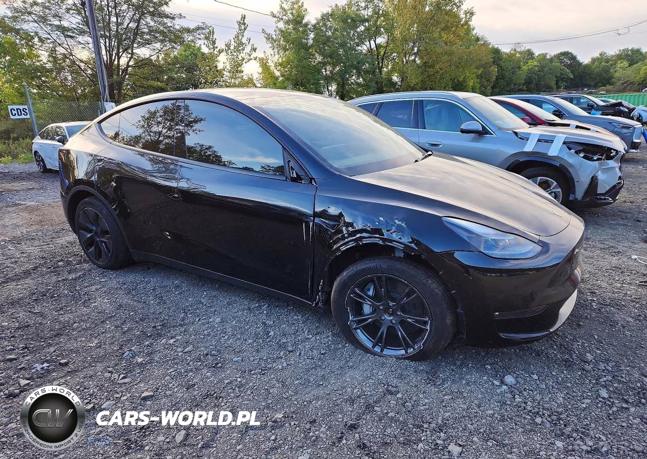 2025 Tesla Model Y VIN:7SAYGDEE2SF291800 - 4