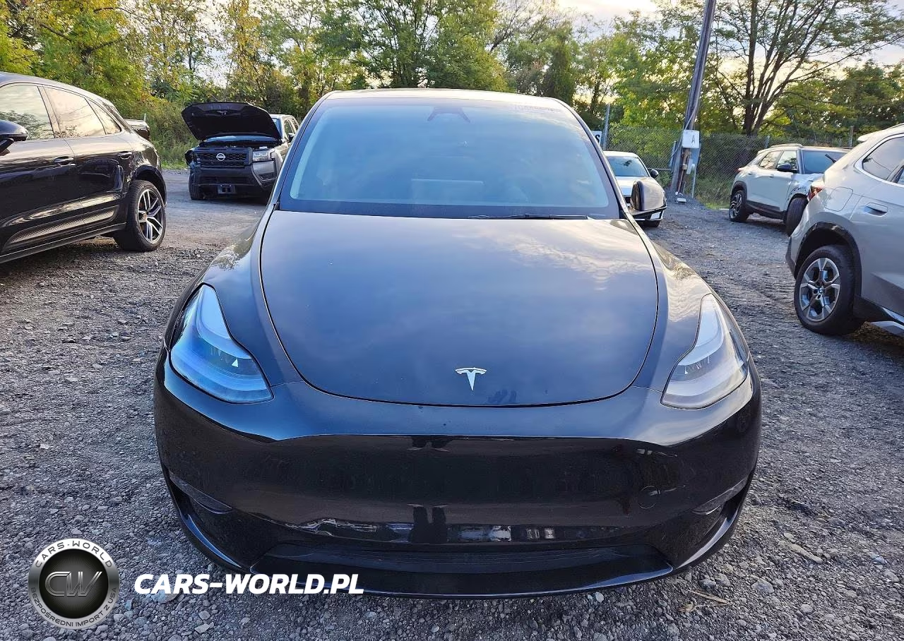 2025 Tesla Model Y VIN:7SAYGDEE2SF291800 - 5