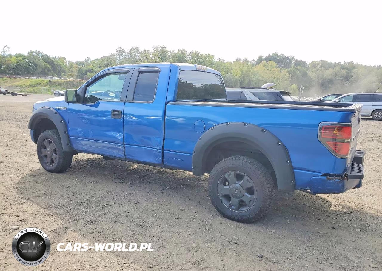 2009 Ford F150 Super Cab VIN:1FTRX14W99FA08356 - 2