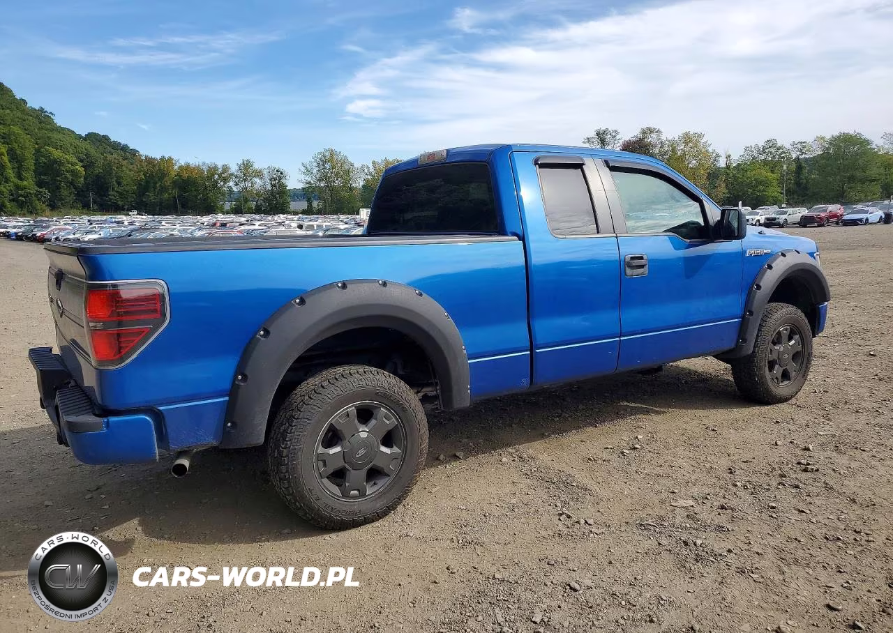 2009 Ford F150 Super Cab VIN:1FTRX14W99FA08356 - 3