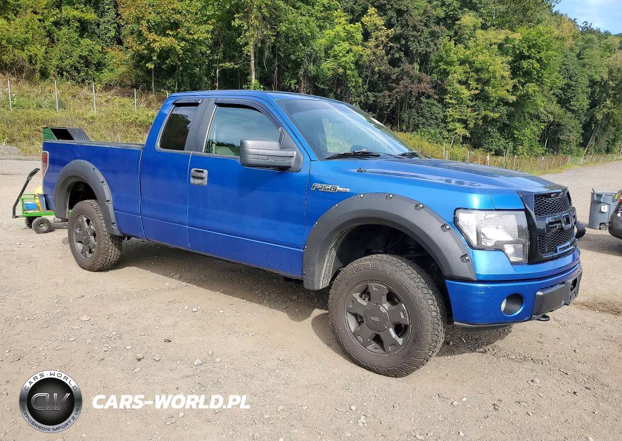 2009 Ford F150 Super Cab VIN:1FTRX14W99FA08356 - 4