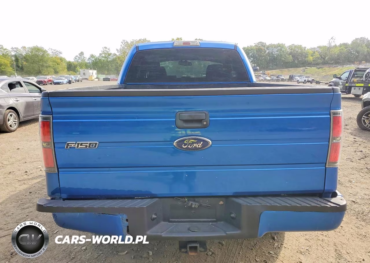 2009 Ford F150 Super Cab VIN:1FTRX14W99FA08356 - 6