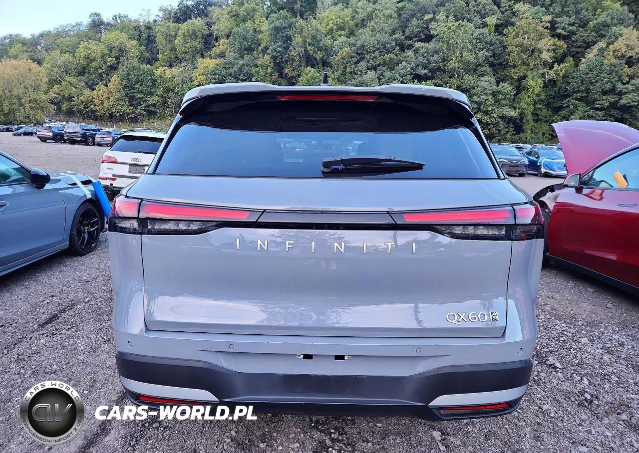 2026 Infiniti Qx60 Luxe VIN:5N1AL1FSXTC355833 - 6
