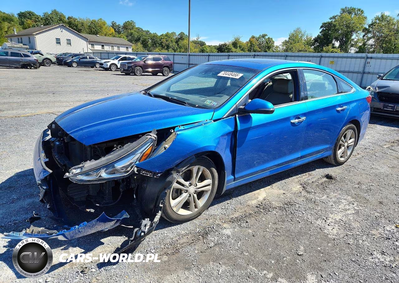 2019 Hyundai Sonata Limited VIN:5NPE34AF8KH736049 - 1