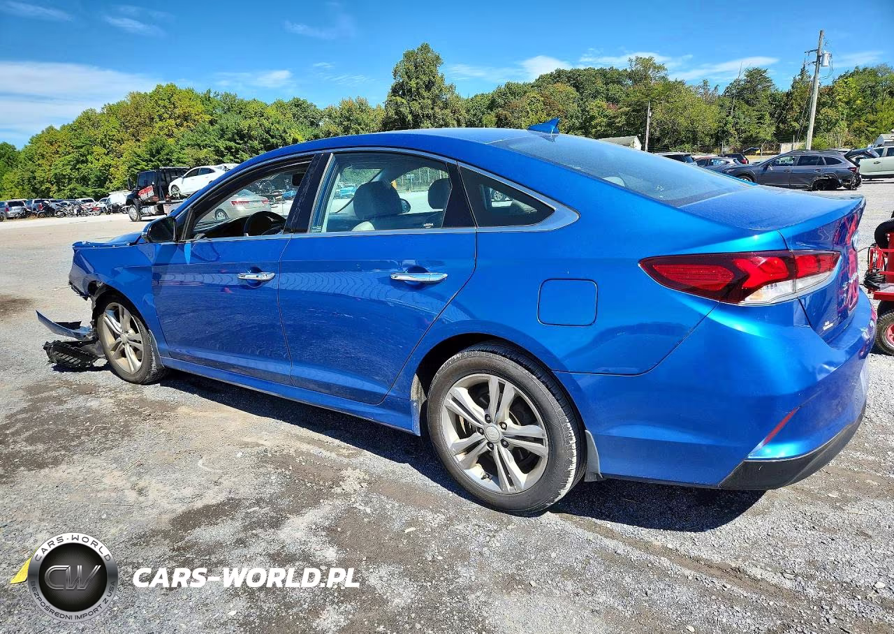 2019 Hyundai Sonata Limited VIN:5NPE34AF8KH736049 - 2