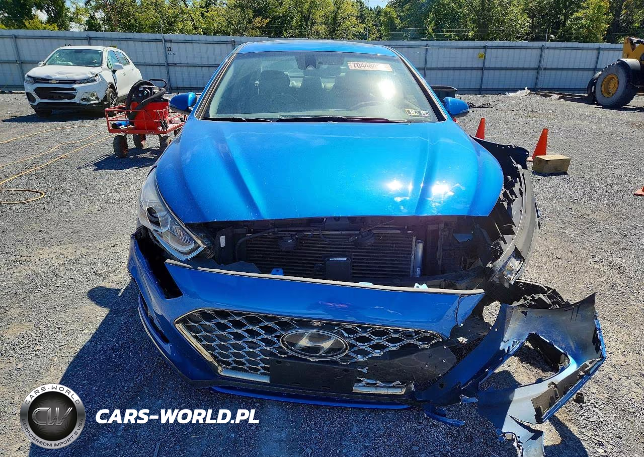 2019 Hyundai Sonata Limited VIN:5NPE34AF8KH736049 - 5