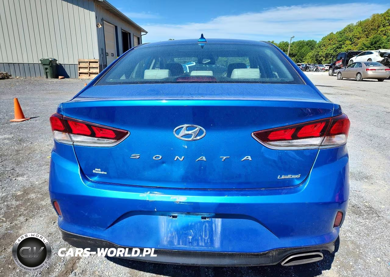 2019 Hyundai Sonata Limited VIN:5NPE34AF8KH736049 - 6