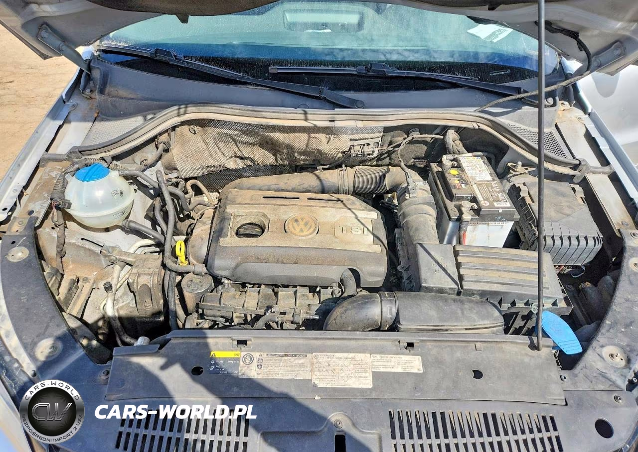 2015 Volkswagen Tiguan S VIN:WVGAV7AX0FW516497 - 11