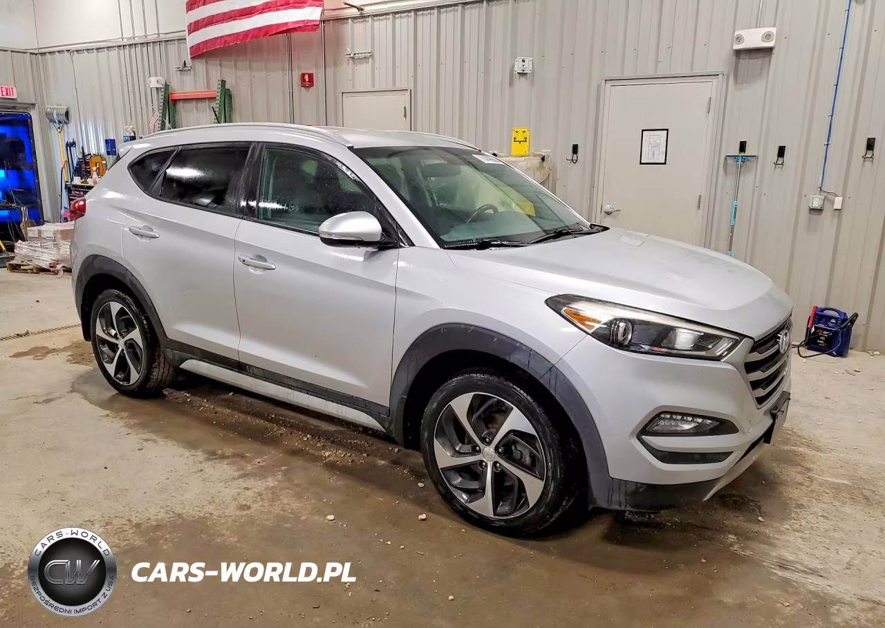 2017 Hyundai Tucson Sport VIN:KM8J3CA2XHU413542 - 4