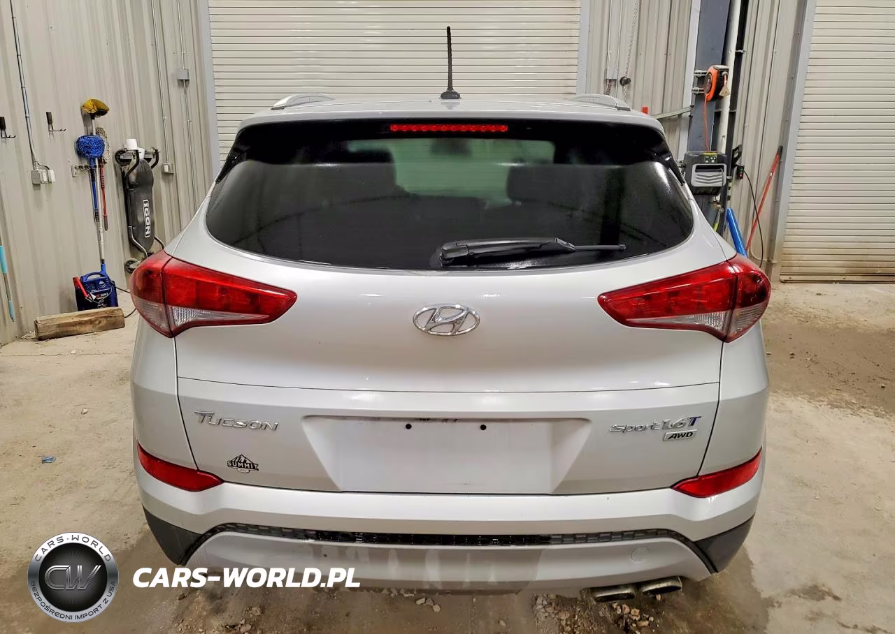 2017 Hyundai Tucson Sport VIN:KM8J3CA2XHU413542 - 6