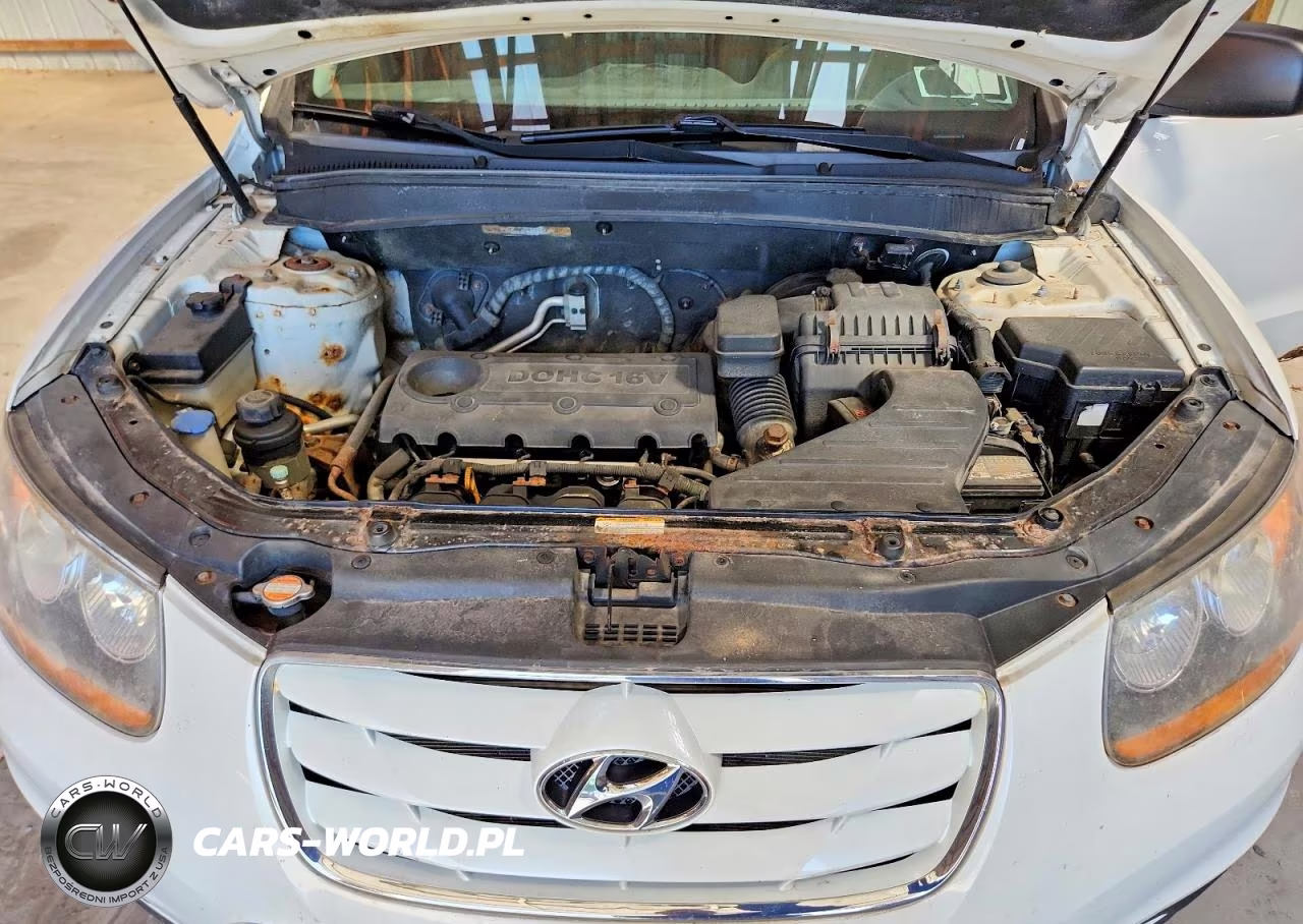 2010 Hyundai Santa Fe Gls VIN:5NMSGDAB0AH347860 - 12